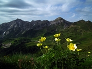 Sull’arco di San Simone: Cima Lemma (2348 m.) > Pizzo Scala (2427 m.) nel solstizio d’estate, il 21 giugno 2012 - FOTOGALLERY